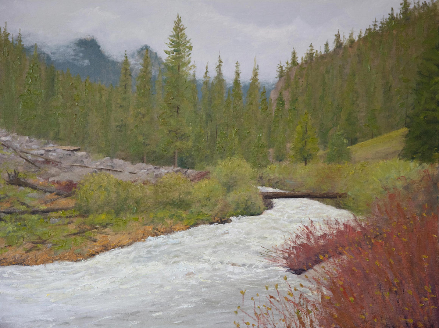 Surged Spring Creek