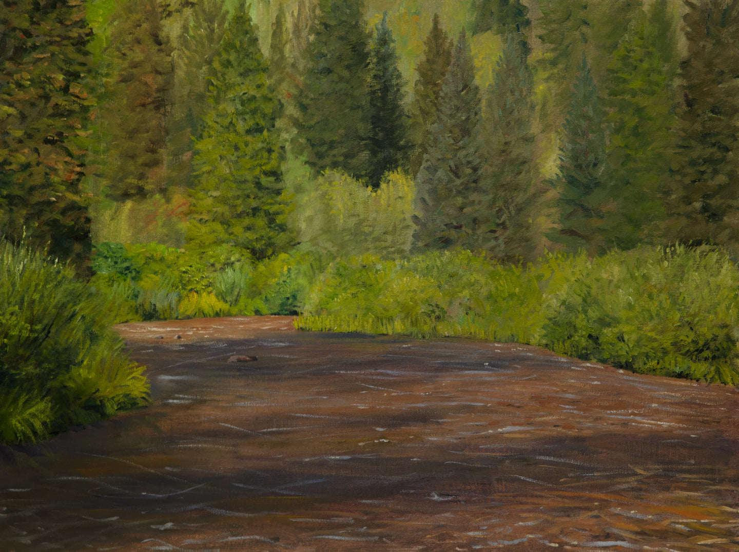Warm Summer Sun on the River and Trees