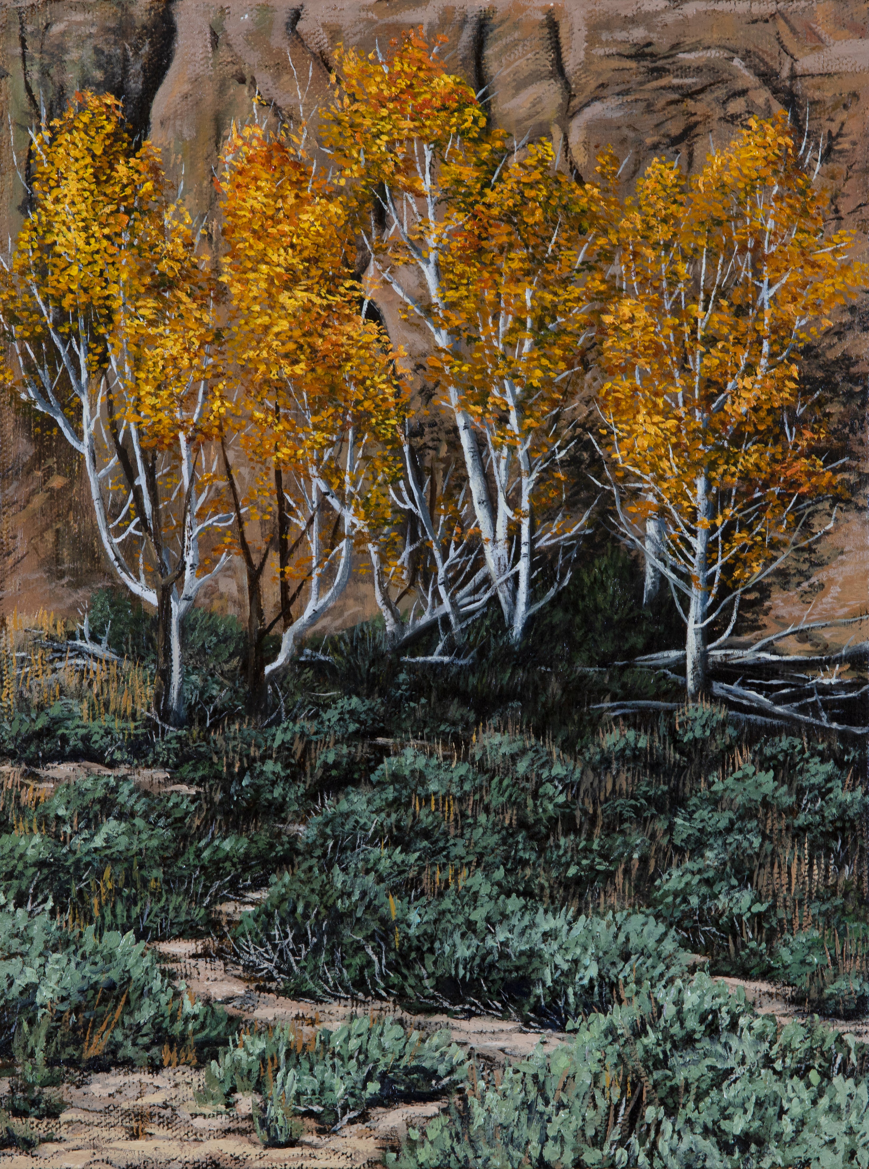 Autumn Aspens