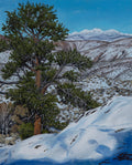 Christmas Day at Hartman Rocks