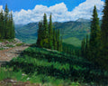 Top of Crested Butte in the Summer
