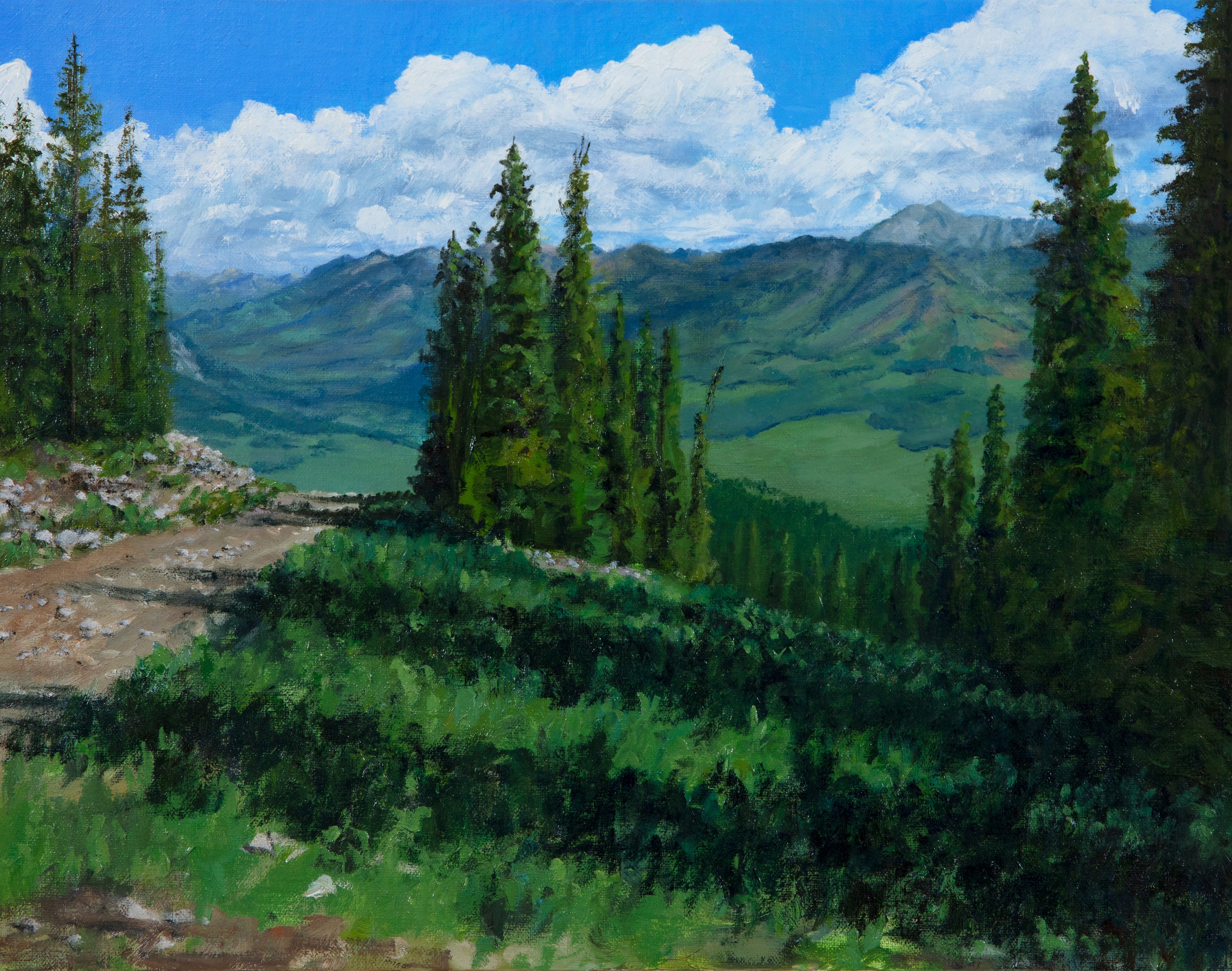 Top of Crested Butte in the Summer