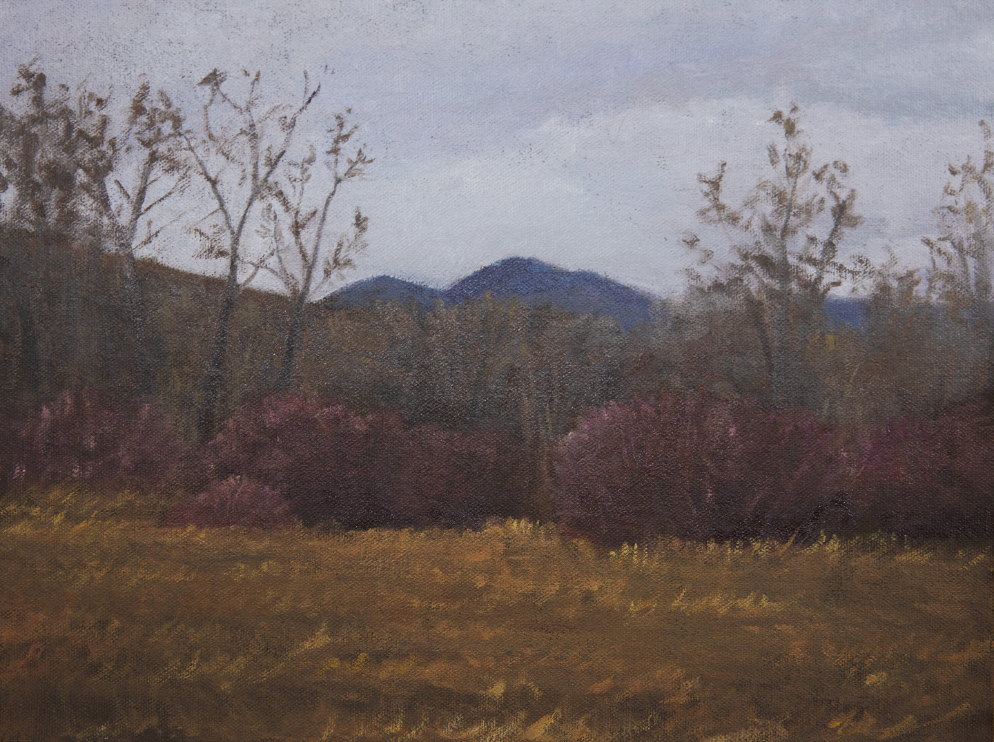 Western Slope at Dusk
