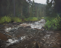 Cloudy Day at Spring Creek in Colorado