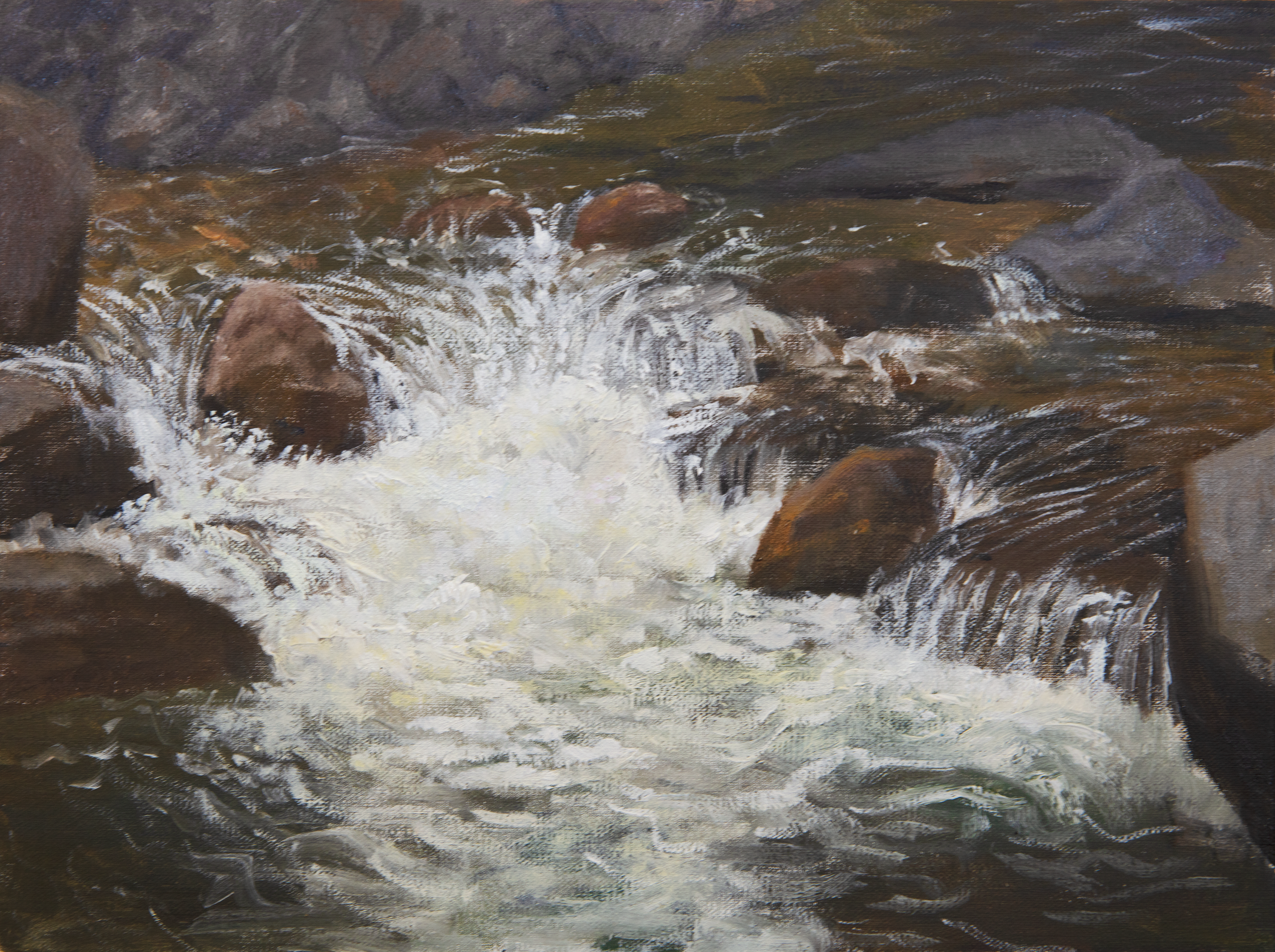Summer Sun on a Rushing Creek