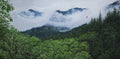 Foggy Mountains