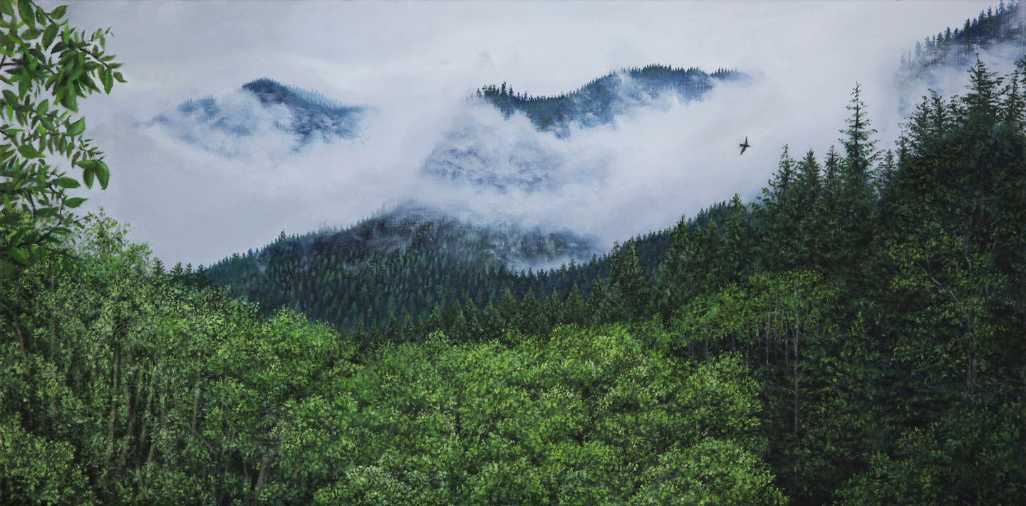Foggy Mountains